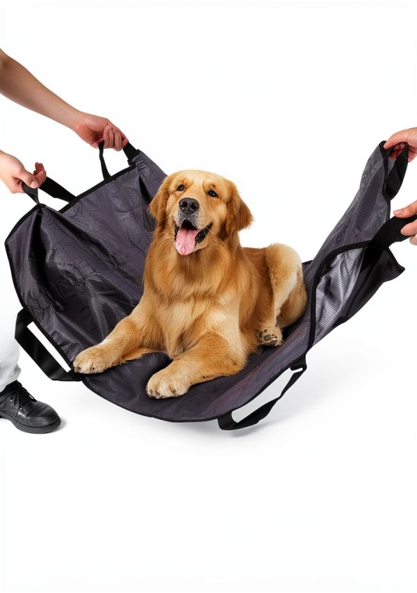Dog Stretcher by ChengFu Portable Gray 48x40in 300lb Capacity-2